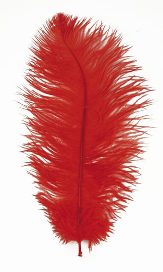 Strutsefjær - Rød - 30cm 1 stk