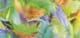 8511749_FA_#SALL_#AOF_#V1