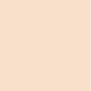 HOBBY LINE: Flesh Color - Pic Tixx Pluster & Liner Pen
