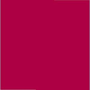HOBBY LINE: Ruby Red - Pic Tixx Pluster & Liner Pen