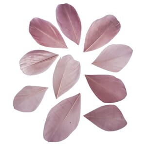 Dekorasjonsfjær - Lys rosa 5-6cm, 36stk