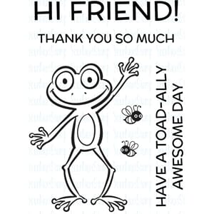 Your Next Stamp: Froggie Friend Clear Stamps, 2x3 inch