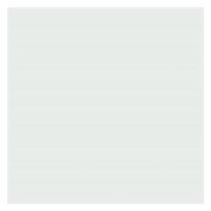 COPIC INK - Snow Green BG0000