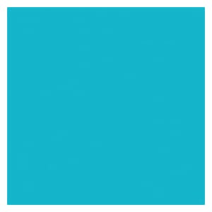 COPIC INK - Petroleum Blue BG07