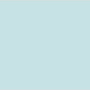 COPIC INK - Mint Green BG13