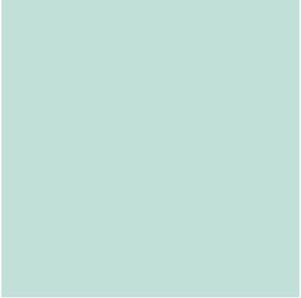 COPIC INK - Coral Sea BG23