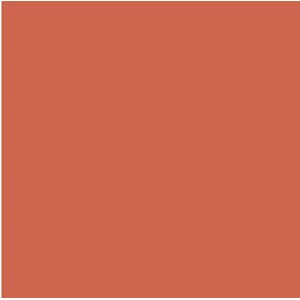 COPIC INK E09 BURNT SIENNA