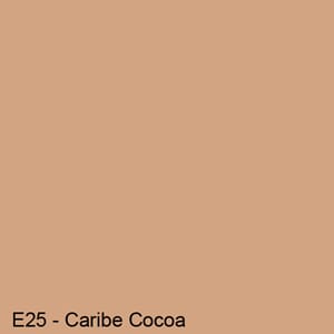 COPIC INK E25 CARIBE COCOA