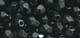 14200576_FA_#SALL_#AOF_#V1