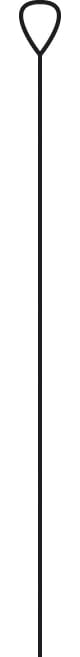 2108900_GF_#SALL_#AOF_#V1