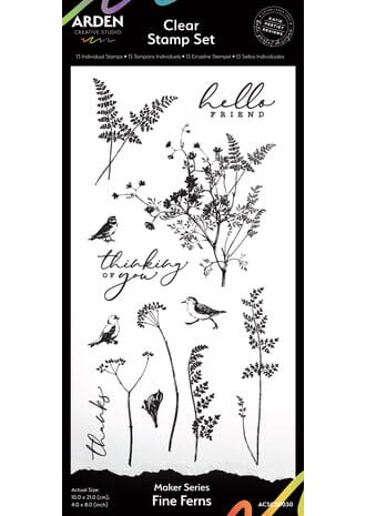 Arden - Fine Ferns 4x6 Inch Background Stamp Set