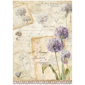 Stamperia - All Around A4 Rice Paper Allium