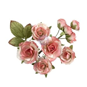 Prima - Homegrown Flowers Garden Rose Blush