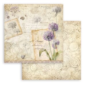 Stamperia: Allium - All Around