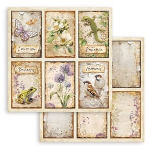 Stamperia: 6 Cards - All Around
