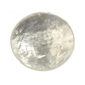 Skjellperle - Hvit disk formet, str 30 mm