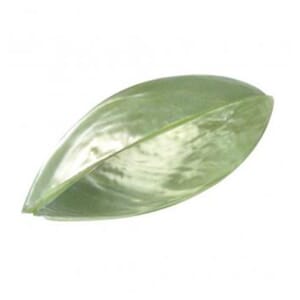 Skjellperle - Mint grønn, str 38 mm