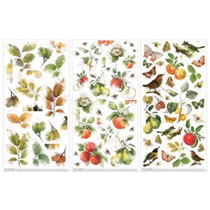 49 And Market - Vintage Orchard Botanica Rub-On Transfer Set