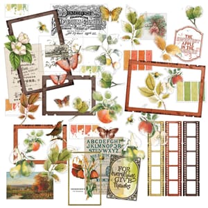 49 And Market - Vintage Orchard Acetate Assortment Set