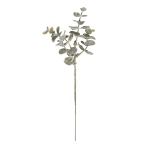 Frosted book-twig, 20cm, 1 stk