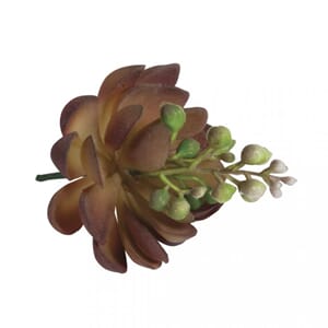 Dekor - Succulent stone rose blooming, str 7x9 cm, 1/Pkg
