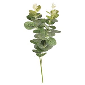 Eucalyptus branch, str 34 cm, 1 stk