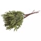 Dekorkvist - Tuja busk, ca str 18 cm, 1 stk