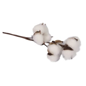 Dekorkvist - Bomullsplante, ca str 23 cm, 1 stk