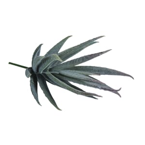 Kunstig Aloe vera, str 6x6x13cm, 1 stk