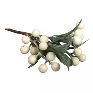 Misteltein, str 12x16 cm, 1 stk