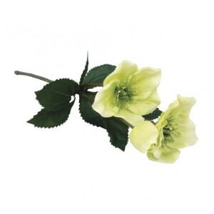 Kunstige blomster - Julerose, lind grønn, str 34 cm, 1 stilk