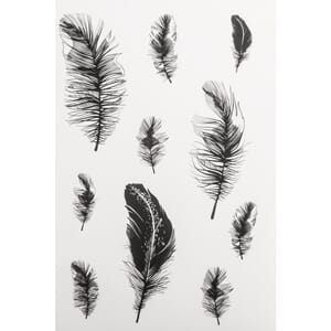 Transfer - Feathers, black/clear, 2 ark a 10 stk