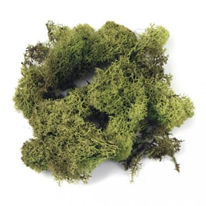Islandsk mose - Lysegrønn, 30 gram