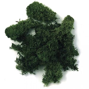 Islandsk mose - Dark green, 30 g
