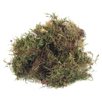 Tørket mose, mengde 100 g