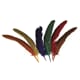 Fjær - Mix, 17 - 22 cm 15stk