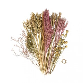 Tørkede langstilkede blomster - Blush miks