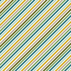American Crafts: Jungle Stripes - Patterned Cardstock
