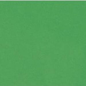Bazzill: Smoothie - Green Apple