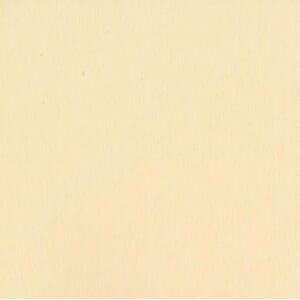 Bazzill: Smoothies - Pigment/Smoothies