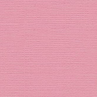 Bazzill: Grasscloth - Fussy