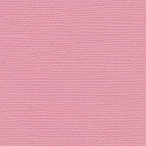 Bazzill: Grasscloth - Fussy