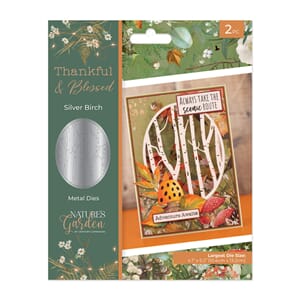 Crafters Companion - Silver Birch Thankful & Blessed Dies