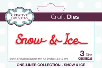 Creative Expressions: Snow & Ice Dies