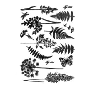 Crafty Individuals - Ferns and Grasses Reissued Unm Stamp
