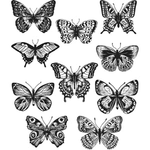 Tim Holtz: Flutter - Cling Stamps