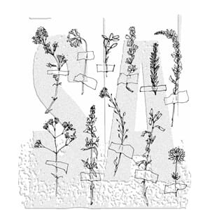 Tim Holtz - Forgotten Garden Cling Stamps