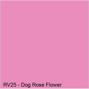 Copics Sketch - DOG ROSE FLOWER