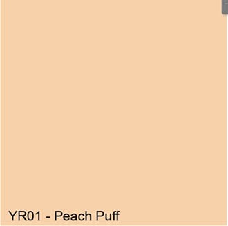 Copics Sketch - PEACH PUFF