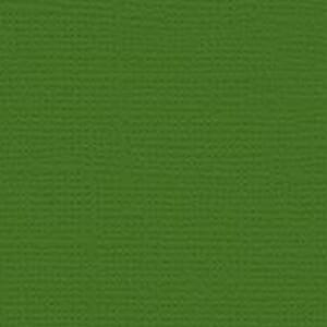 My Colors: Parrot - Classic Cardstock